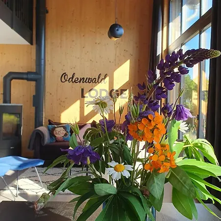 Holiday home Odenwald-lodge Mit Infrarotsauna Und E-ladestation 