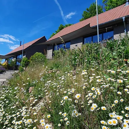 Holiday home Odenwald-lodge Mit Infrarotsauna Und E-ladestation 
