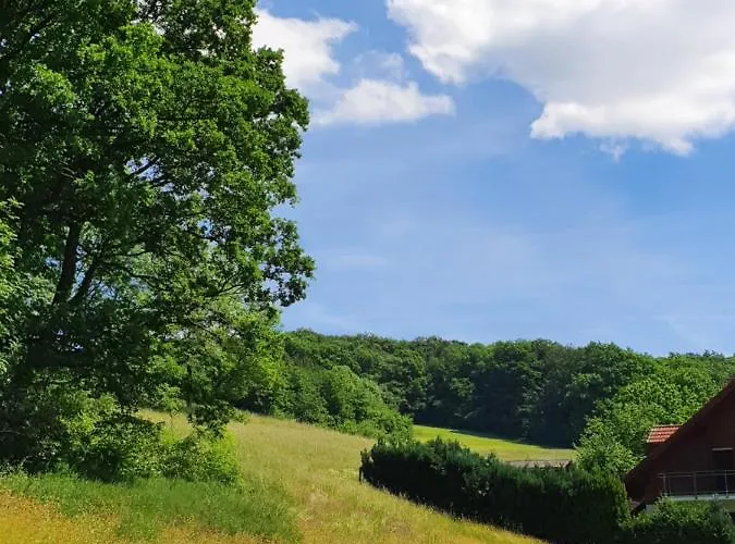 Odenwald-lodge Mit Infrarotsauna Und E-ladestation 