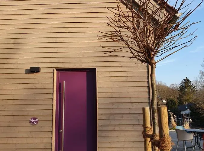 Odenwald-lodge Mit Infrarotsauna Und E-ladestation 