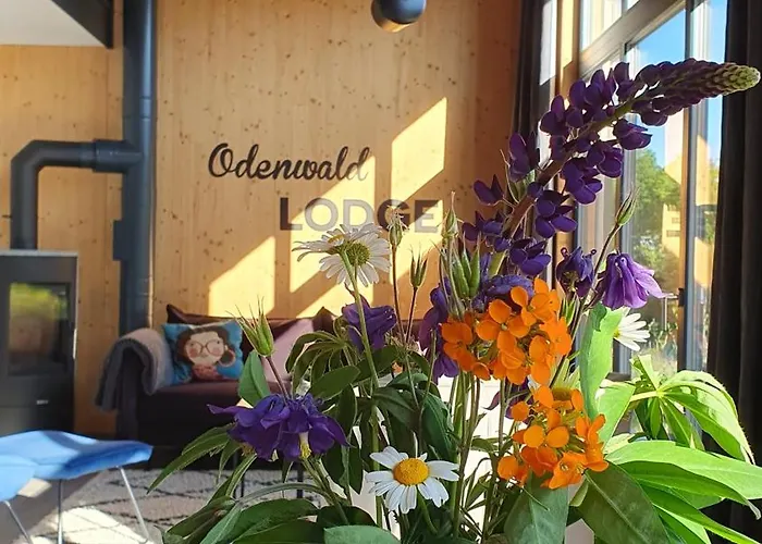 Nyaraló Odenwald-lodge Mit Infrarotsauna Und E-ladestation 