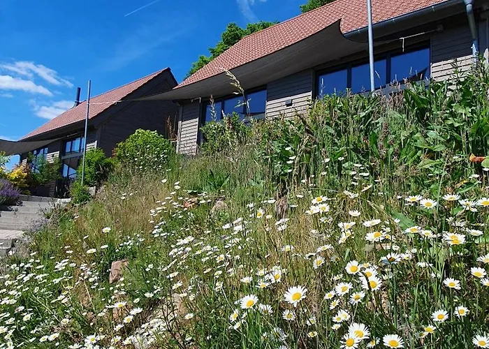 Nyaraló Odenwald-lodge Mit Infrarotsauna Und E-ladestation 